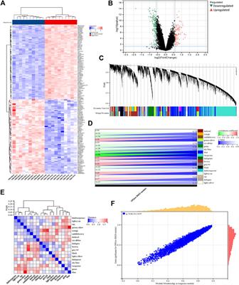 Exploring the shared gene signatures of smoking-related osteoporosis and chronic obstructive pulmonary disease using machine learning algorithms